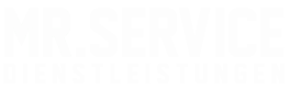 Mr.Service Logo